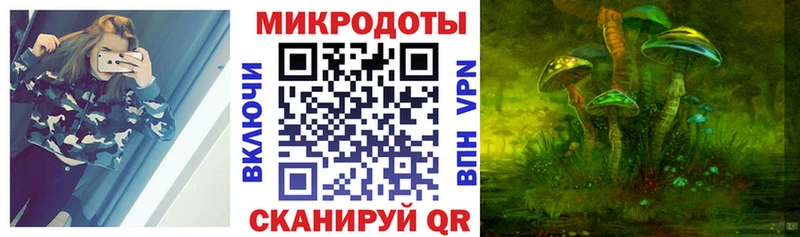 Купить  Радужный  Псилоцибиновые грибы Cubensis 